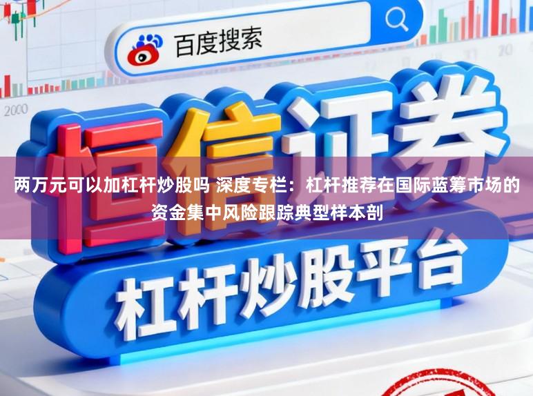 两万元可以加杠杆炒股吗 深度专栏：杠杆推荐在国际蓝筹市场的资金集中风险跟踪典型样本剖