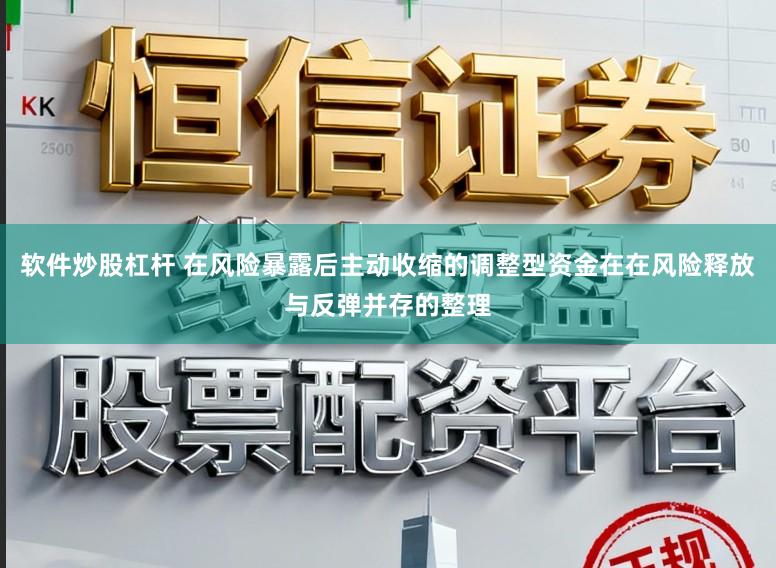 软件炒股杠杆 在风险暴露后主动收缩的调整型资金在在风险释放与反弹并存的整理