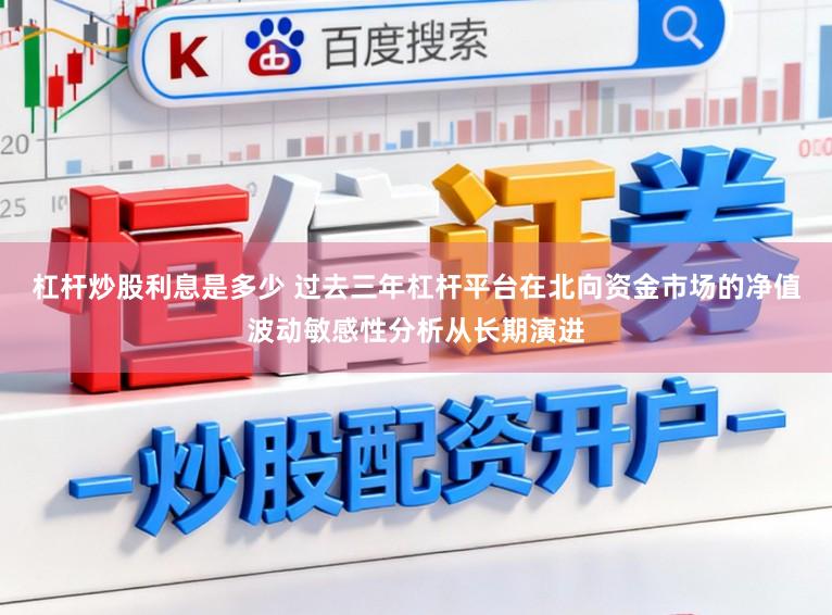 杠杆炒股利息是多少 过去三年杠杆平台在北向资金市场的净值波动敏感性分析从长期演进