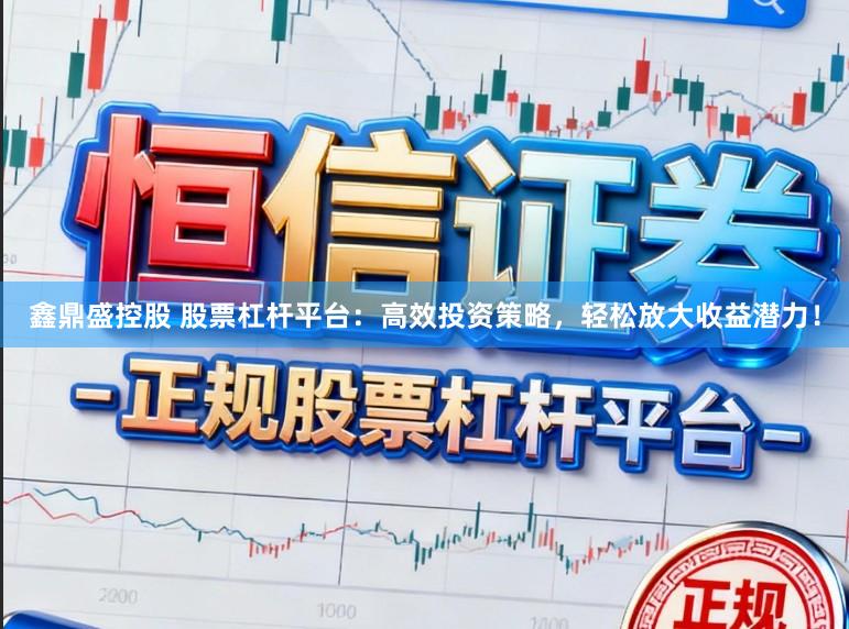 鑫鼎盛控股　 股票杠杆平台：高效投资策略，轻松放大收益潜力！